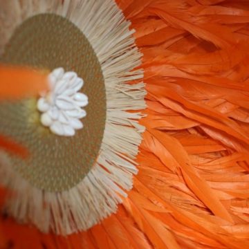 décoration bohème chic en plumes, fibres naturelles et coquillages cauris