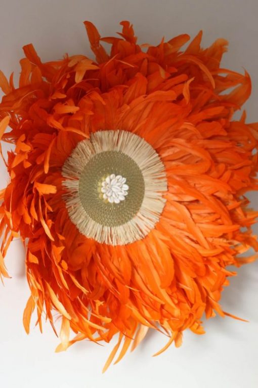 décoration intérieur en plumes naturelles orange vif