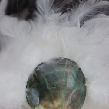 coquillage en nacre poli au centre d'un magnifique jujuhat en plumes naturelles