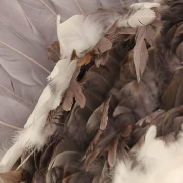 volume et douceur pour ce magnifique jujuhat gris et blanc